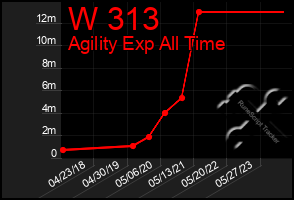 Total Graph of W 313