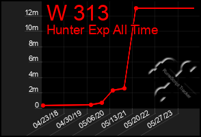 Total Graph of W 313