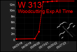 Total Graph of W 313