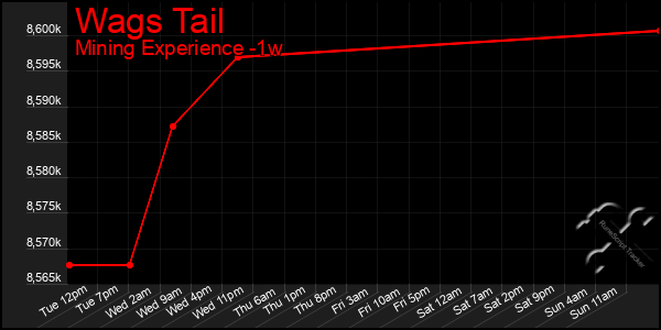 Last 7 Days Graph of Wags Tail