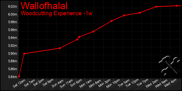 Last 7 Days Graph of Wallofhalal