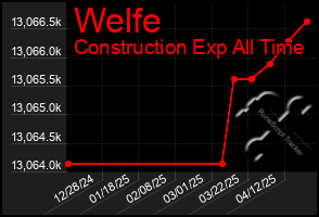 Total Graph of Welfe