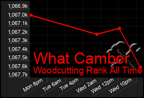 Total Graph of What Camber