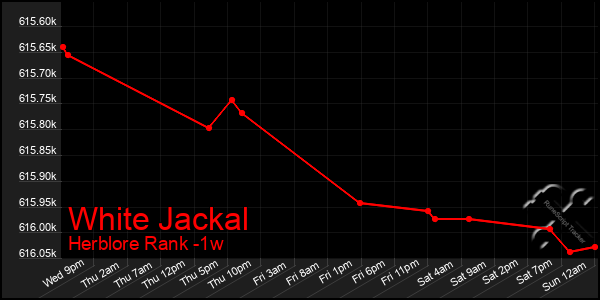 Last 7 Days Graph of White Jackal