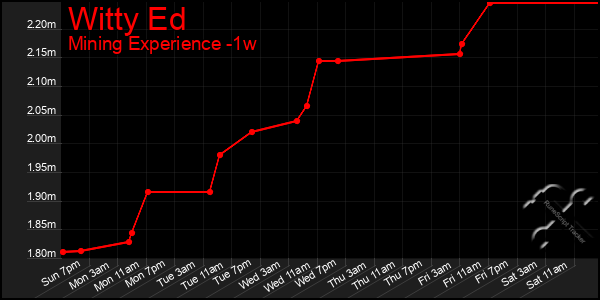 Last 7 Days Graph of Witty Ed