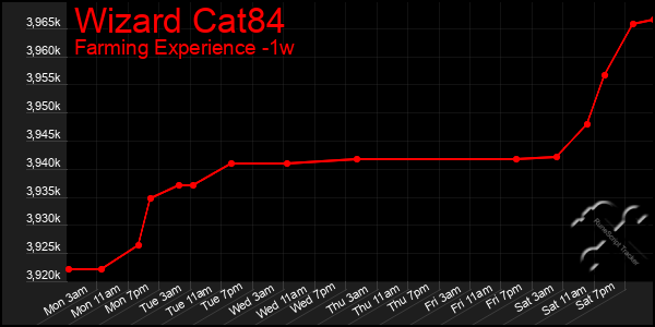 Last 7 Days Graph of Wizard Cat84