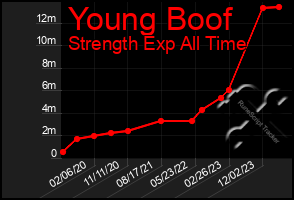 Total Graph of Young Boof