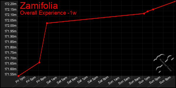 Last 7 Days Graph of Zamifolia