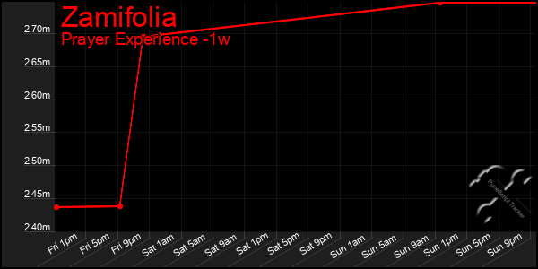 Last 7 Days Graph of Zamifolia