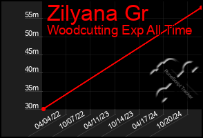 Total Graph of Zilyana Gr